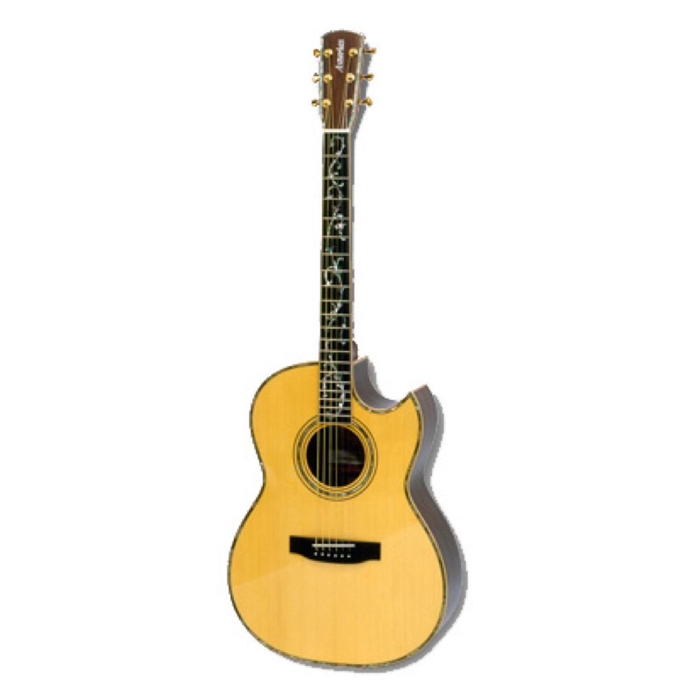 Rosso guitar アコースティックギター エレアコ ツリーオブライフ