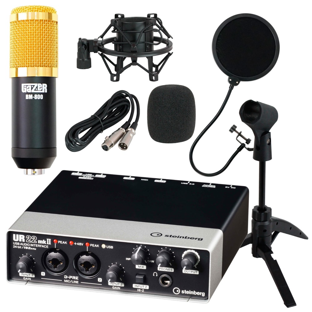 steinberg UR22mkII 2x2 USB 2.0 オーディオインターフェース SD GAZER