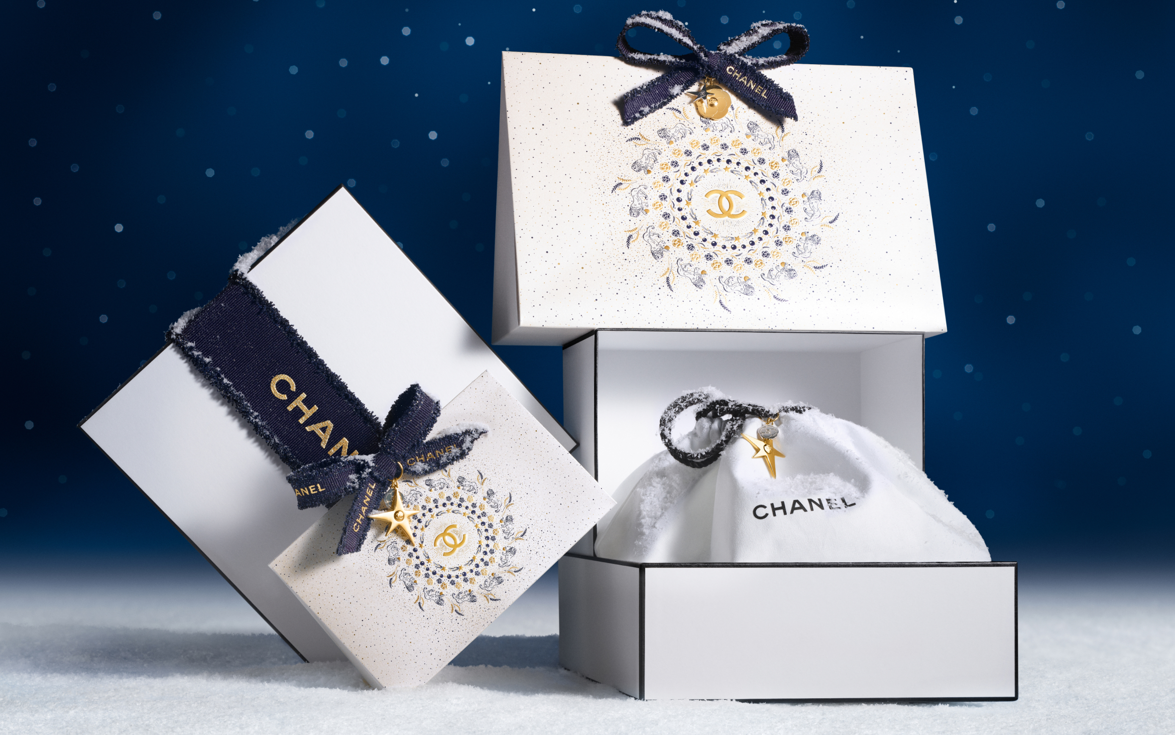 CHANEL シャネル ギフトボックス 中 ギフトバッグ44枚 ギフト セット