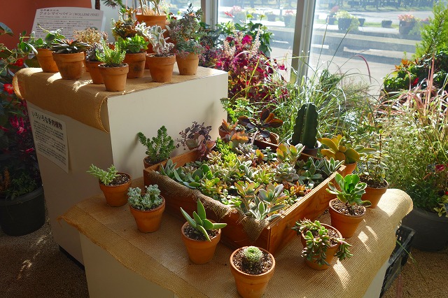 動作確認済】柳川式電気押し花器 押し花器 ドライフラワー作成機 動作