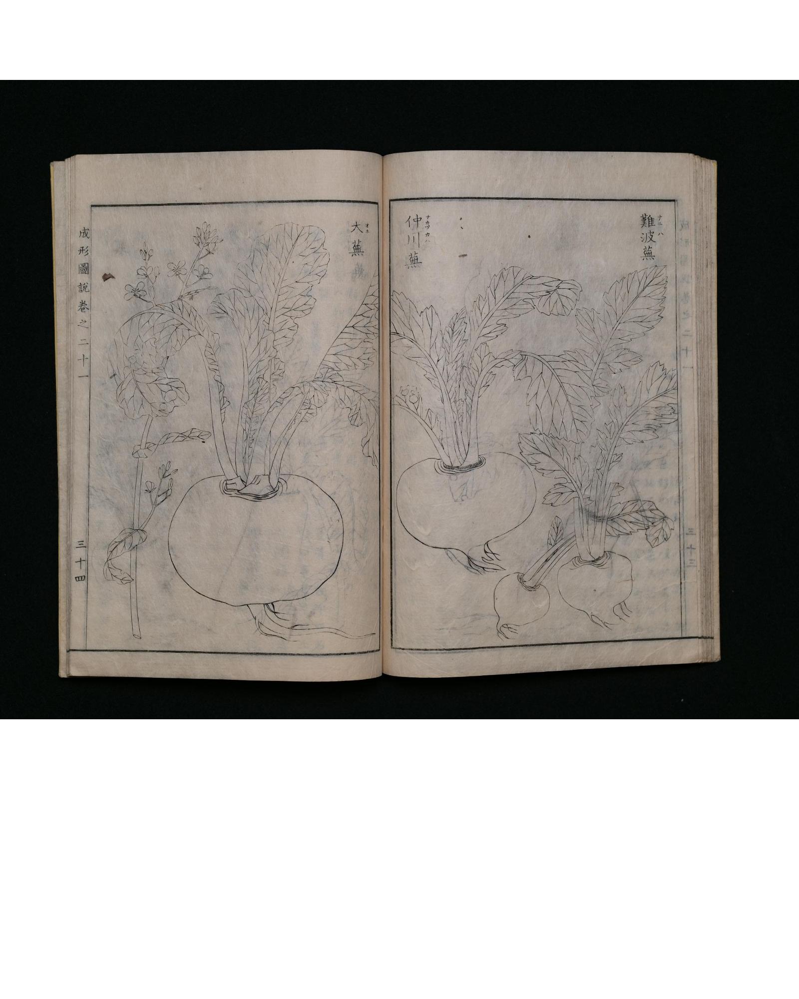 4『成形図説』／厚木市