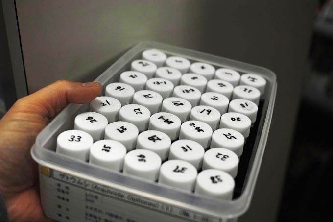 液浸標本 - 下関市