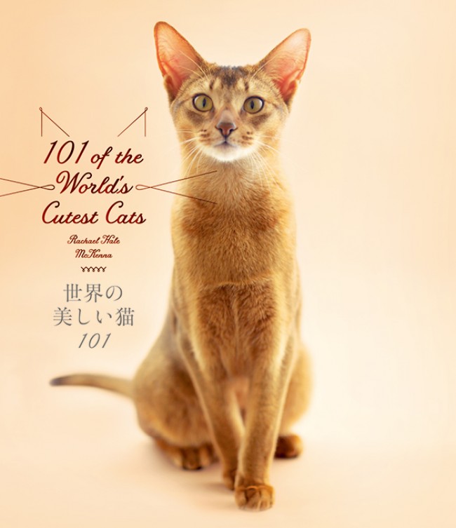 猫図鑑の決定版「世界の美しい猫101」発売！短毛種～長毛種まで写真