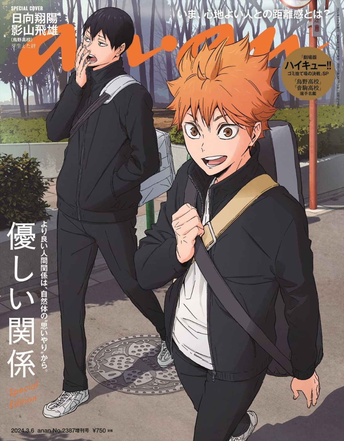 ハイキュー ゴミ捨て場の決戦 チケットファイル チケット付き 日向翔陽