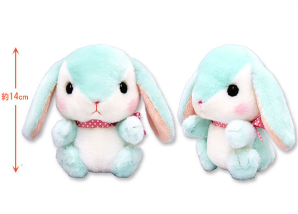 ≪10月の新商品≫アミューズ公式オンラインショップーNEW ITEM！☆ぽて