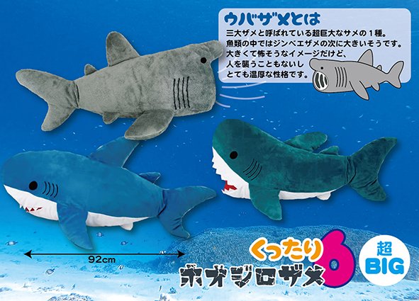 ≪7月の新商品≫ くったりホオジロザメ6☆アミューズプライズ-NEW ITEM