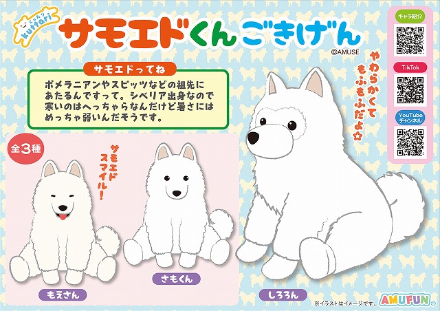 ≪3月の新商品≫くったりサモエドくんごきげん-NEW ITEM！｜アミューズ