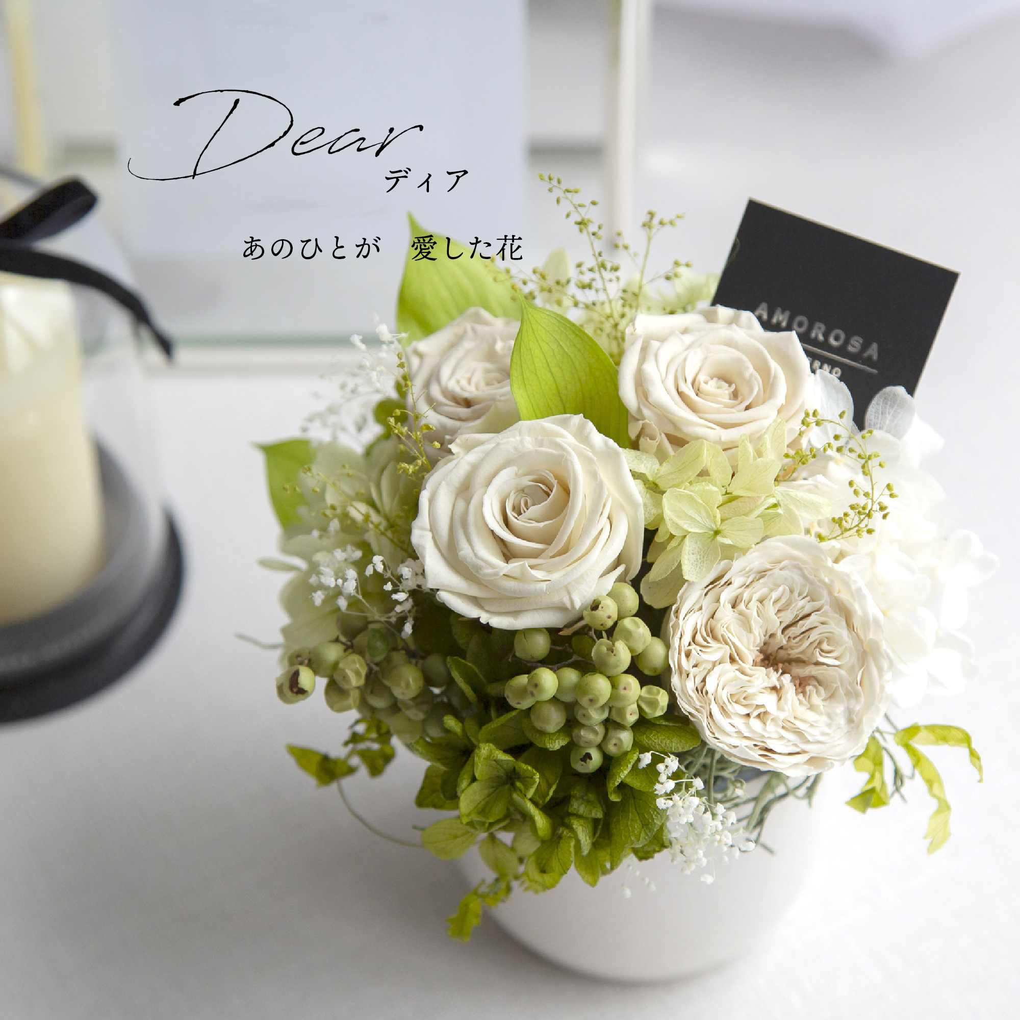 ディア(S)/ホワイト （プリザーブドフラワー） | 最高級プリザーブド