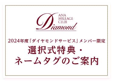 ANA マイレージクラブ ダイヤモンド 2024 ネームタグ 2024年度