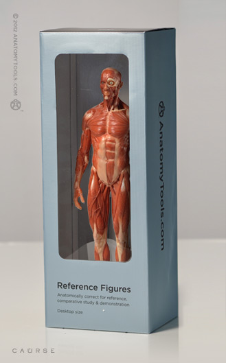 AnatomyTools