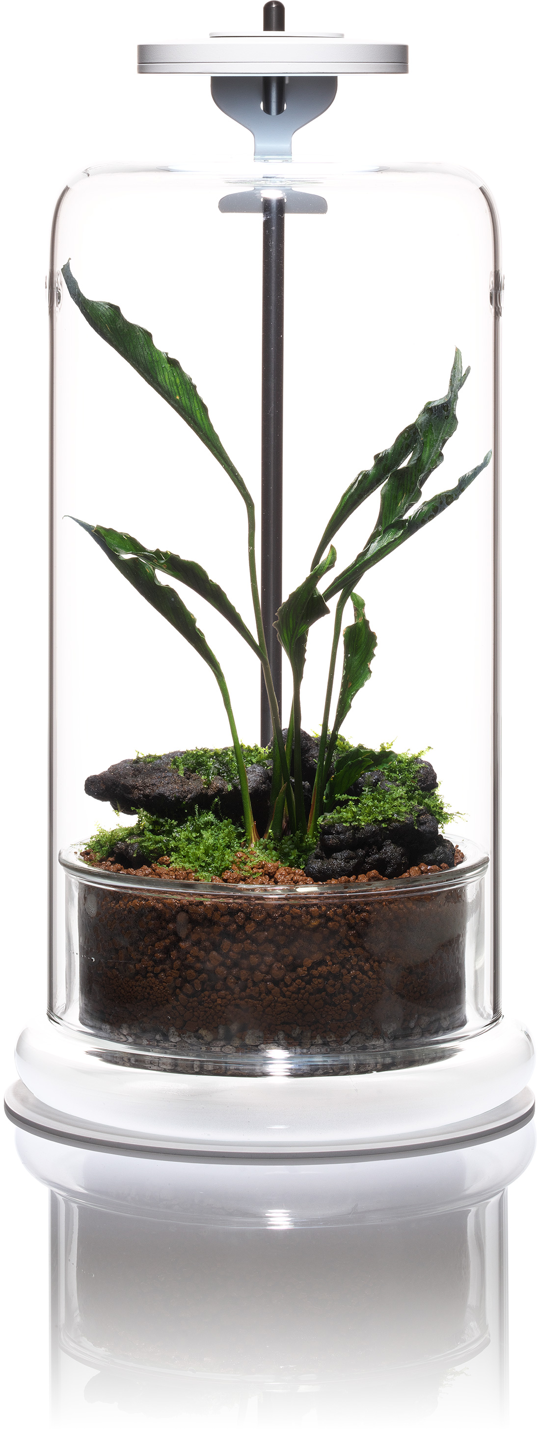 ADA CELL エメラルド 4個セット CELL | DOOA