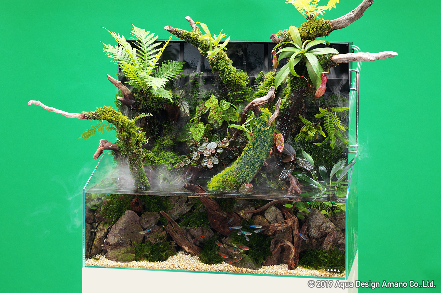 流木 アクアリウム テラリウム ADA ADA 流木アクアリウムテラリウム