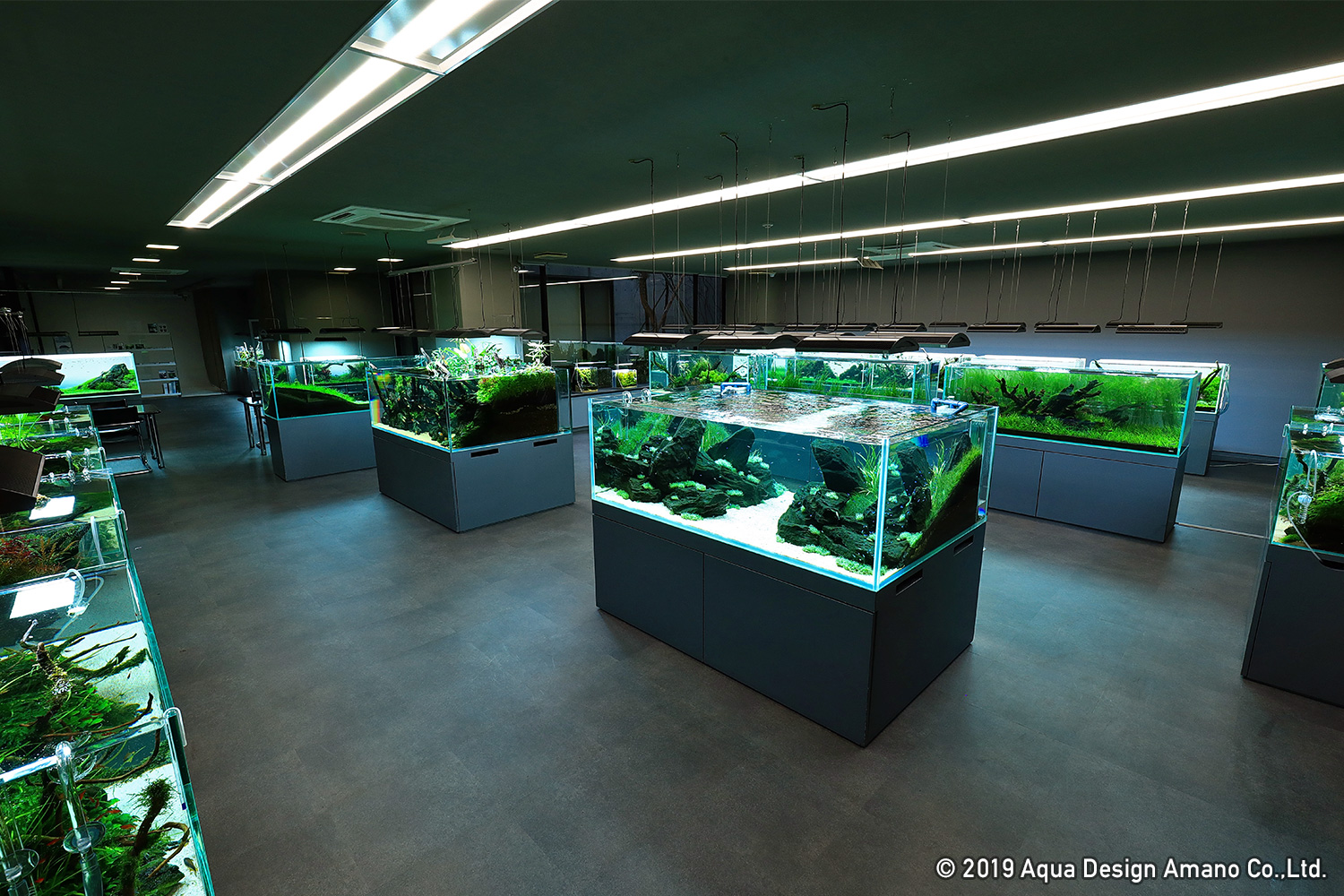 ADA Review 「石組レイアウトの極意を学ぶ」 | AQUA DESIGN AMANO