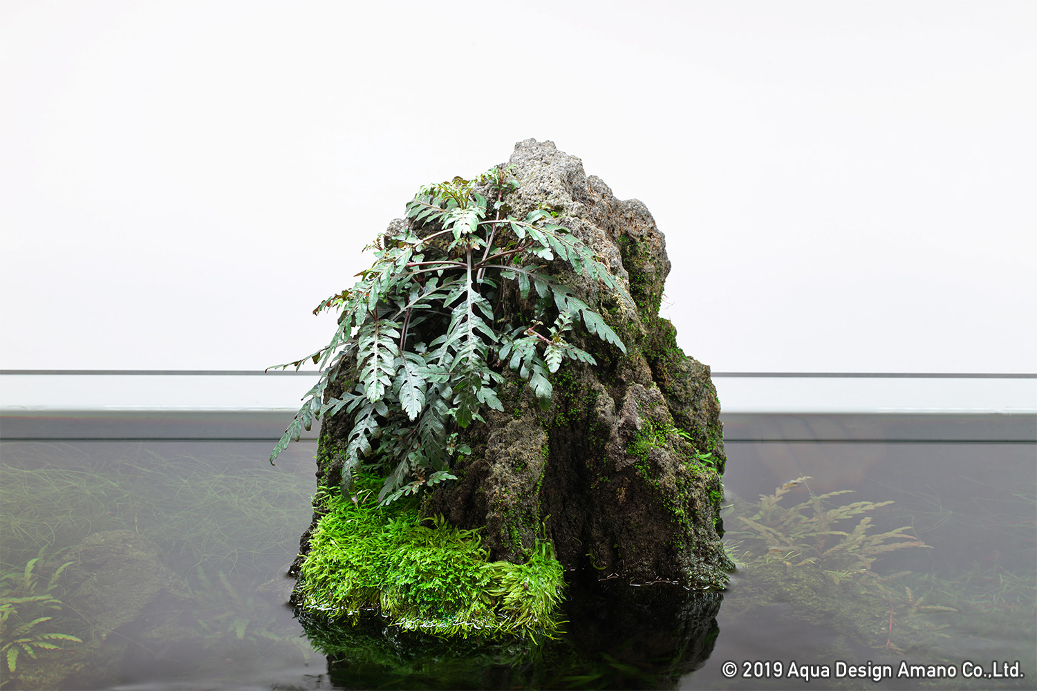 ADA雲山石4点セット 【公式通販】