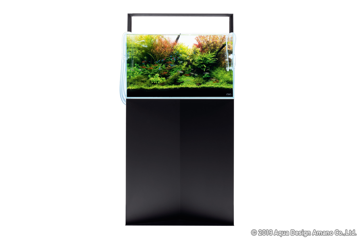 ADA NEW PRODUCTS 「ADAが提案する新しいスタイル」 | AQUA DESIGN AMANO