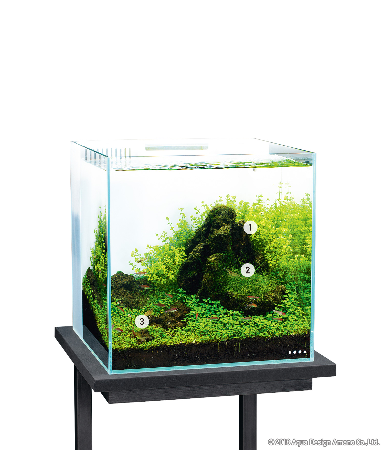 dooa システムアクア30 【公式通販】