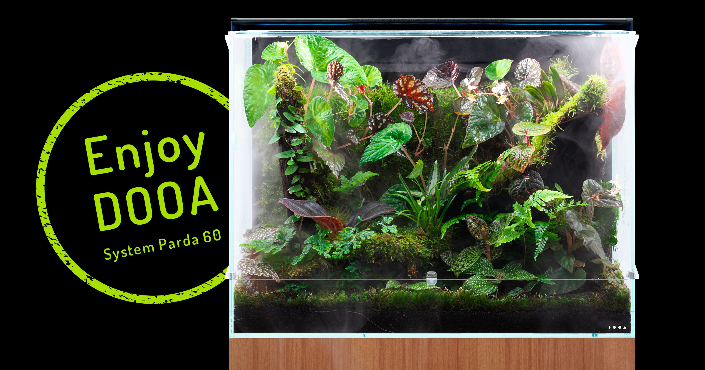 ADA DOOA パルダライト60 ADA DOOA パルダライト60