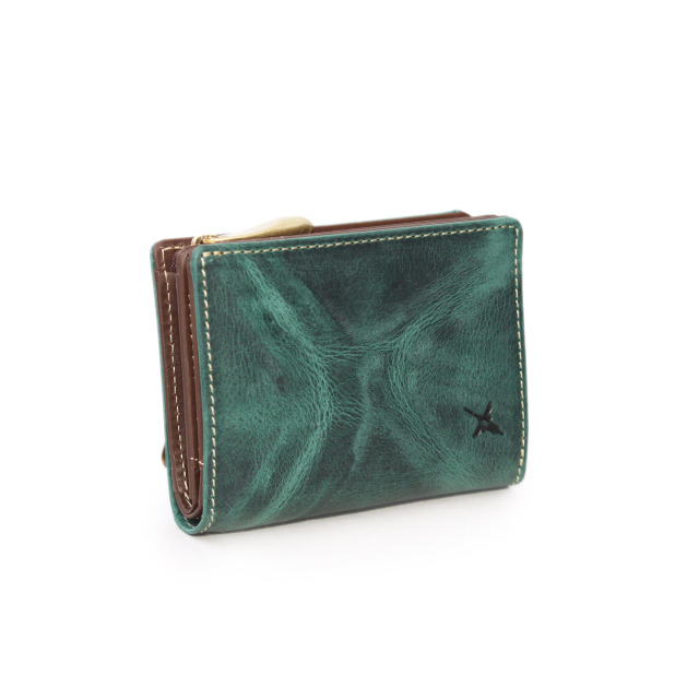 良・美品】SKINペイント・SUGIZOモデル。ソフトケース&アーム付属