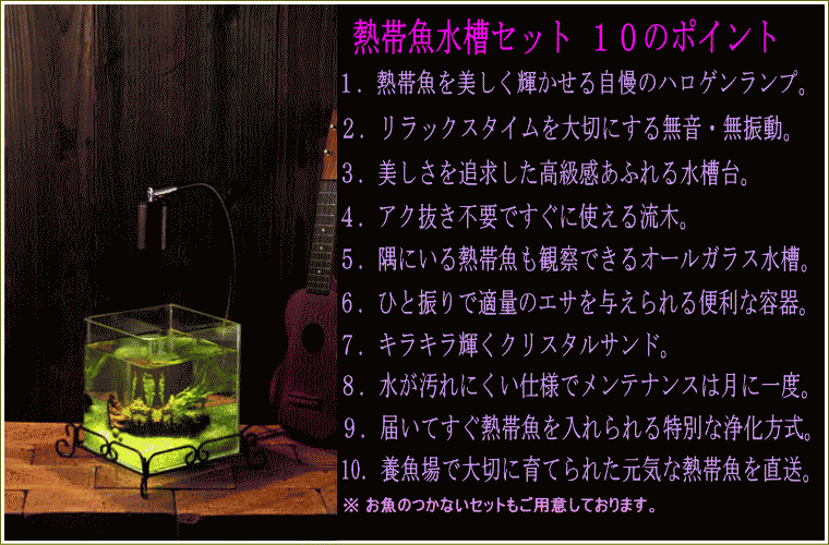 REGALOレガーロ（水草つき）送料無料