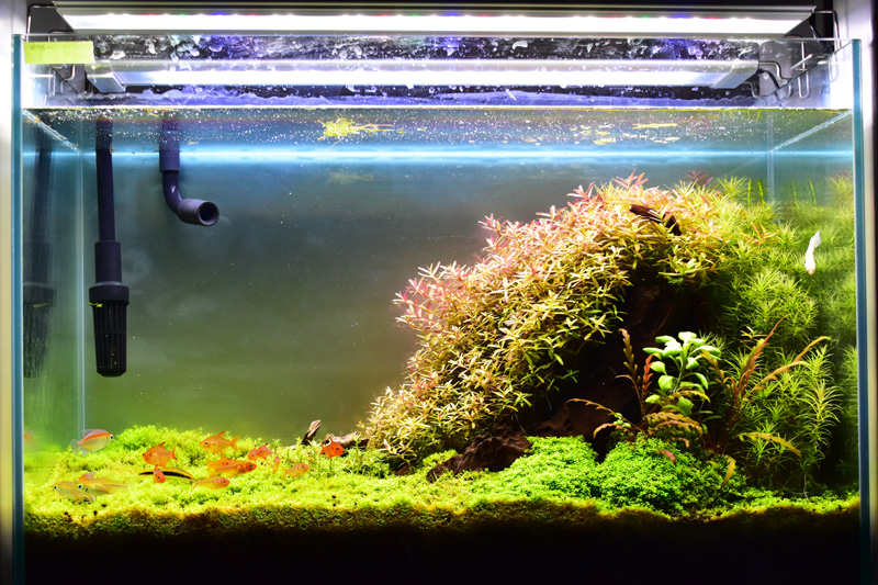 明るく綺麗なバックスクリーン「esAqua ライトスクリーン」レビュー