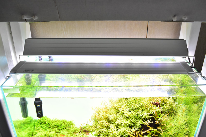 まっきー様専用】アクロ TRIANGLE GROW 600 逆さ毛鉤さん購入用です アクロ