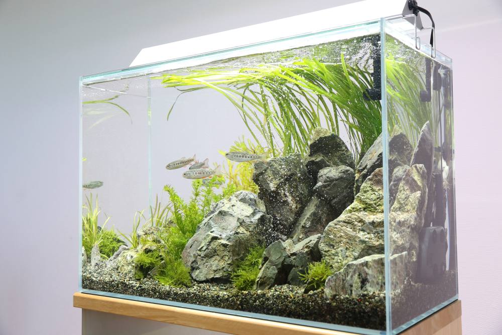 アクロ トライアングル LED グロウ・ブライト300 アクロ TRIANGLE LED