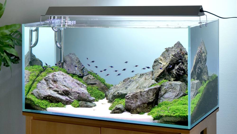 90㎝水槽セット 引き取り限定品90㎝×45㎝×45㎝ 90