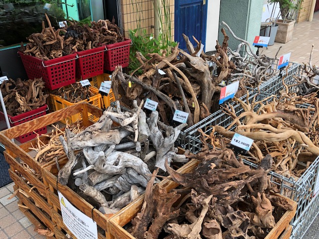 流木 大量入荷 | アクアレビュー｜ADA正規代理店ネイチャー