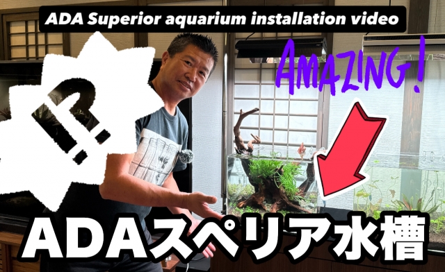 ADA.スペリアとNAデュアルポット ADA.スペリアとNAデュアルポット