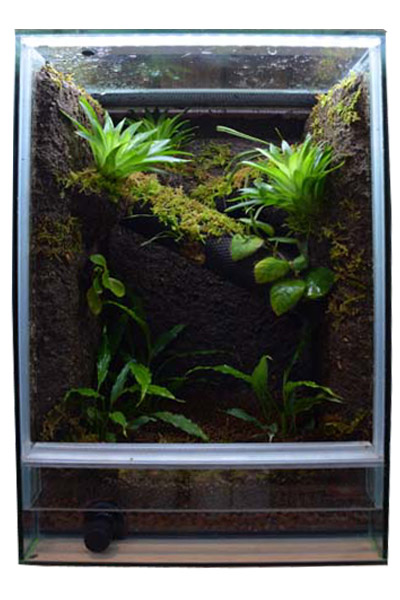 paludariumcage -パルダリウムケージ-