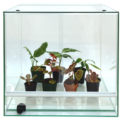 paludariumcage -パルダリウムケージ-