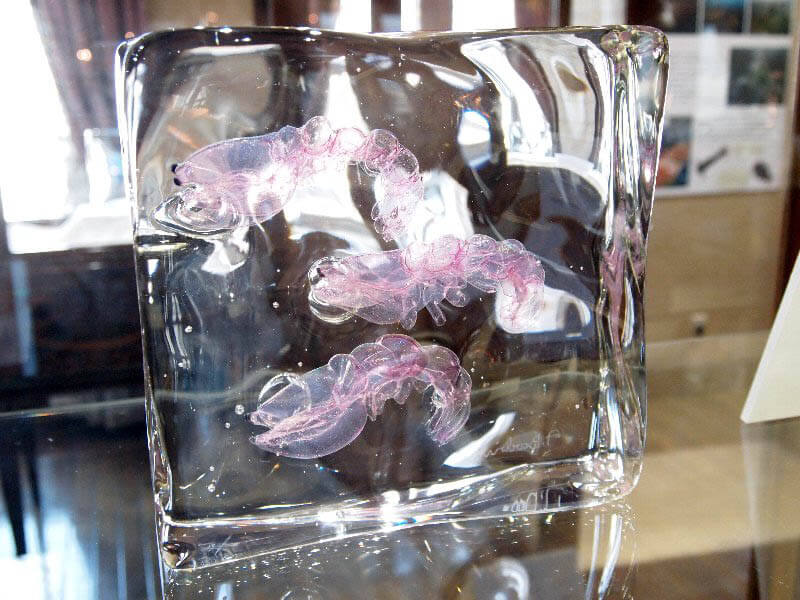 ベネチアングラス ベネチア 置物 魚 卵形 作家物 一点物 アクアリウム