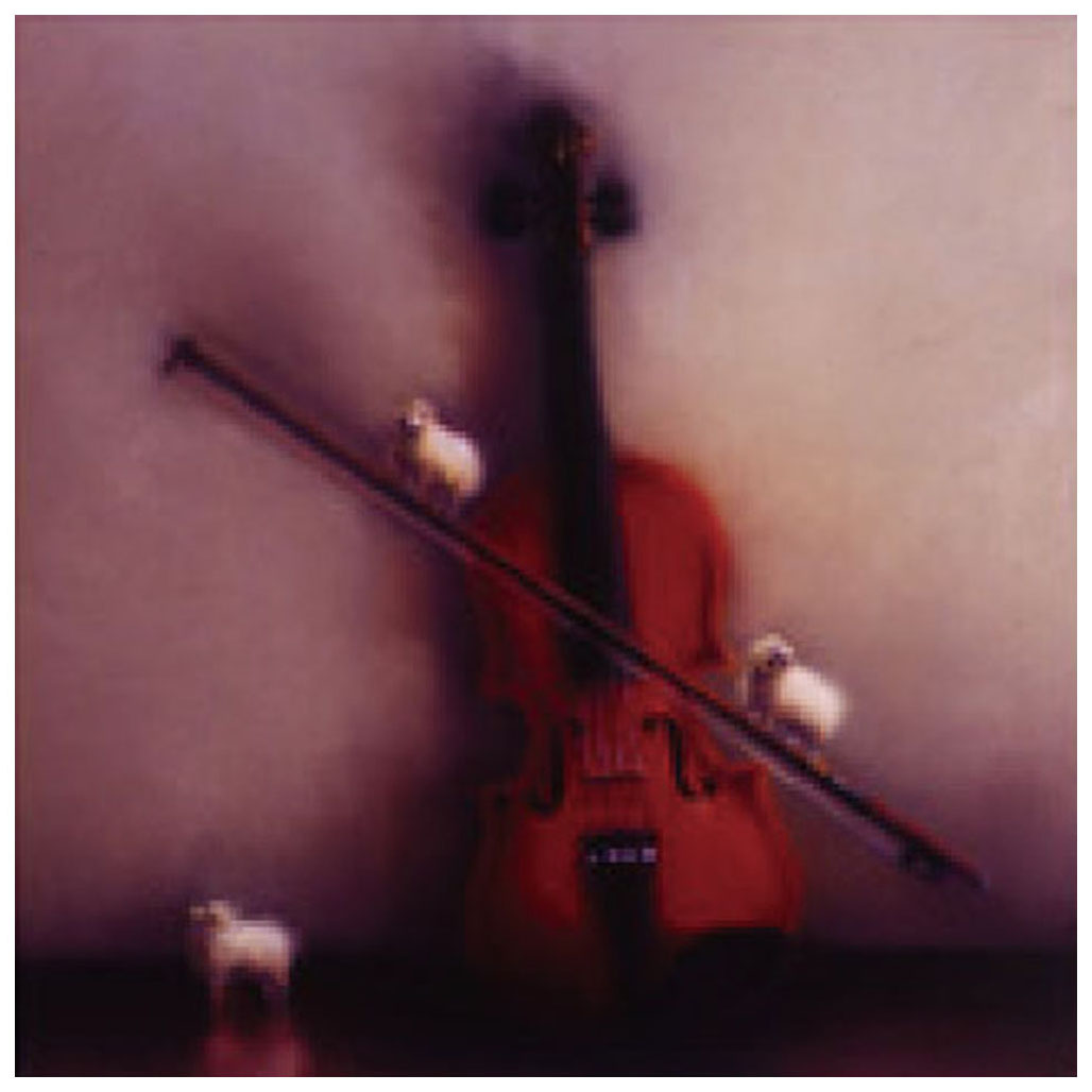 牧野千穂 絵画 (版画/ジクレー) セバスチャンの羊 4766|アート