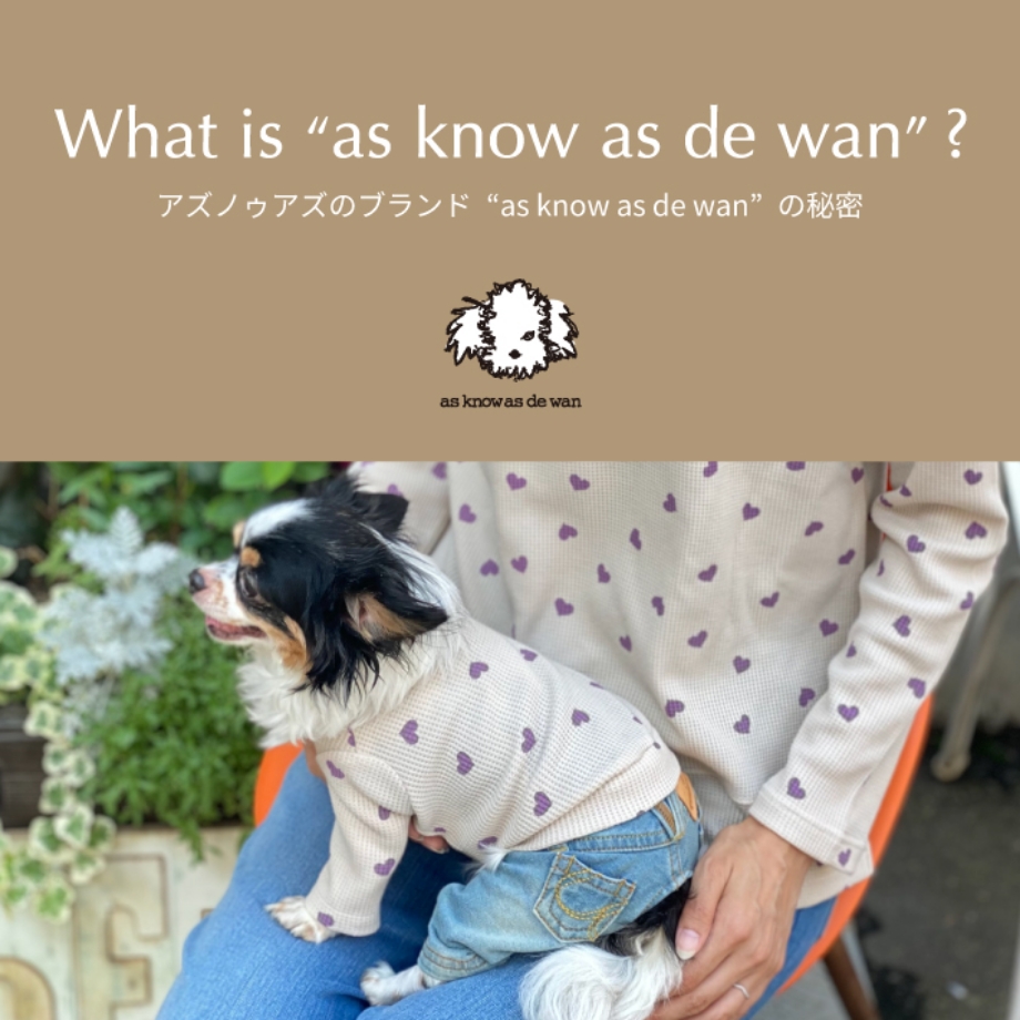 お値下げ 犬服 新品 as know as de wan千鳥ビスチェ＆スカート 犬服 (