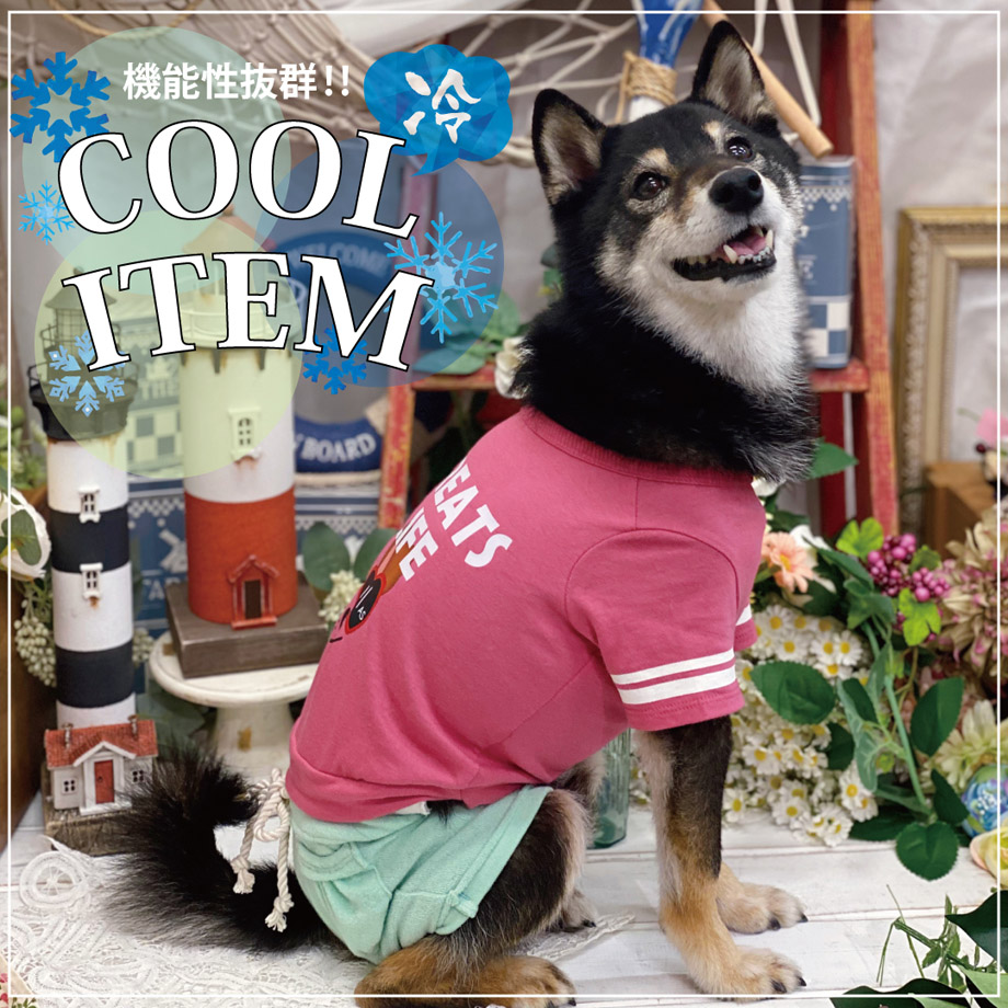 as know as de wan - AS KNOW AS | アズノゥアズ