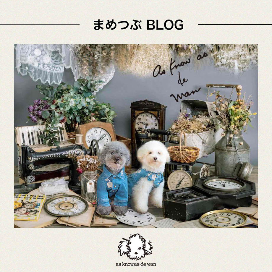 as know as de wan - AS KNOW AS | アズノゥアズ