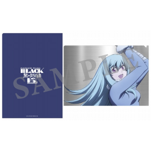 DARKER THAN BLACK クリアファイル 銀 15th Anniversary: キャラグッズ