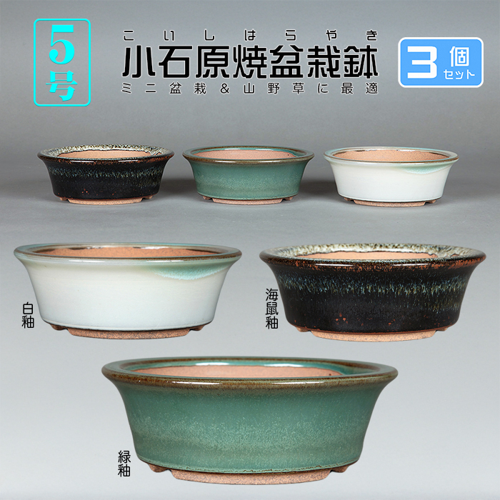 お得！！盆栽鉢10点セット！！ お得！！盆栽鉢10点セット！！ お得！！