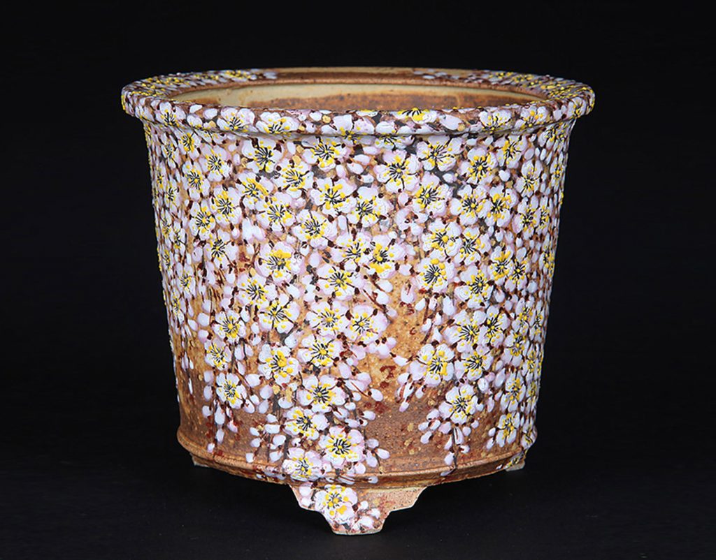 5.渋草柳造窯、最新の盆器作品！│盆栽、盆栽書籍、盆栽鉢の通販│近代出版