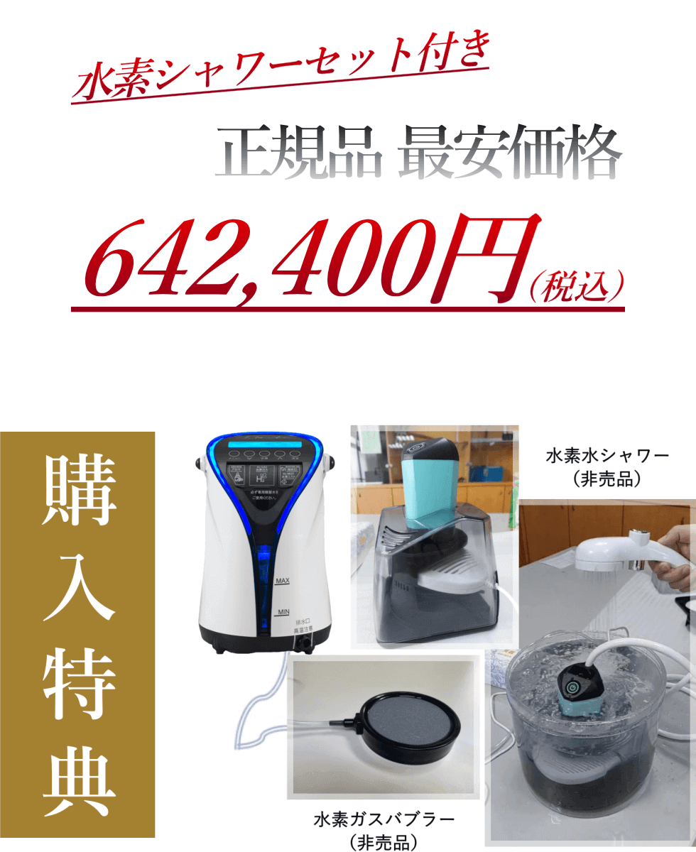 年末値引き！⑦リタエアー LitaAir 水素吸入機 美品 フルセット 2026年