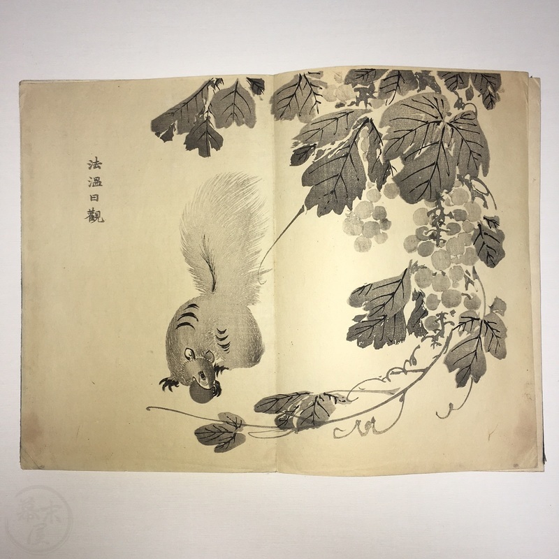 幕末屋 • 竹洞花鳥画譜 多色木版画 折本 (日本の絵本 ) • 希少な本と写真