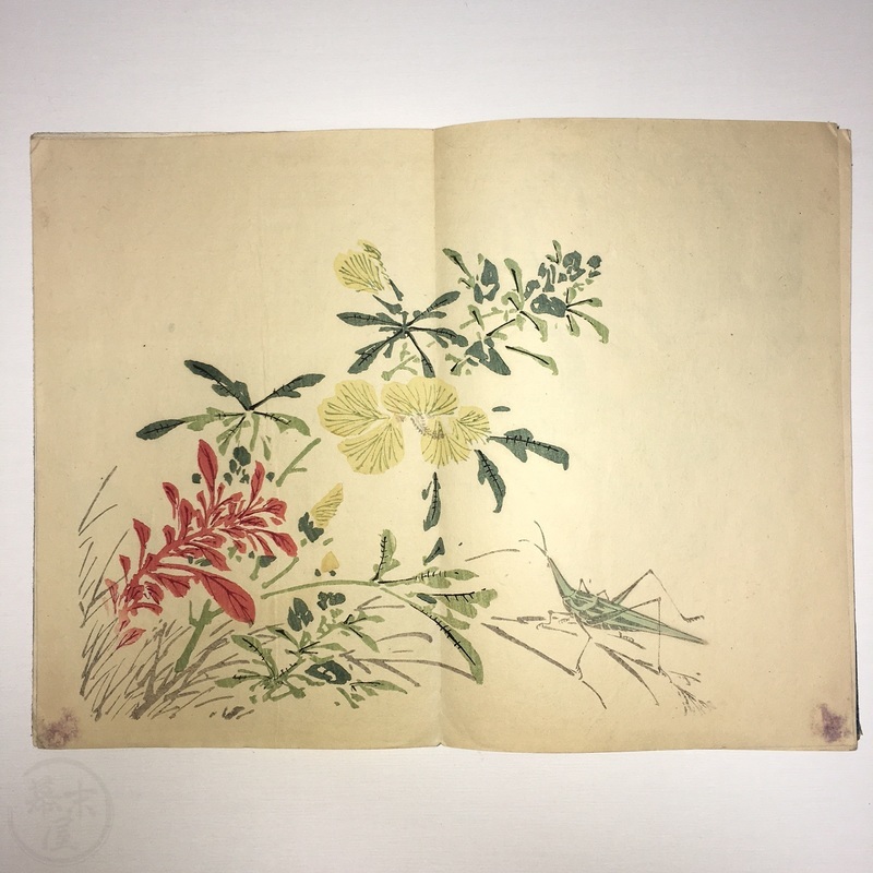 幕末屋 • 竹洞花鳥画譜 多色木版画 折本 (日本の絵本 ) • 希少な本と写真