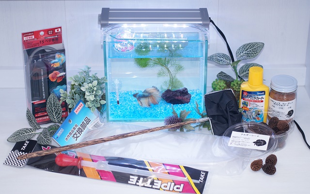 水槽1点】ショーベタ飼育スターターセット（ベタ専用ヒーター付