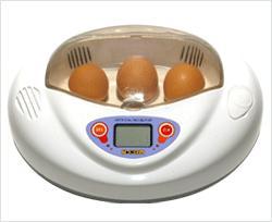 教材用 孵卵器 リトルママ