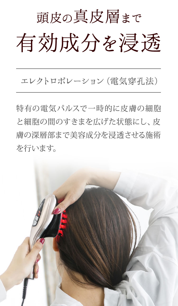 頭皮 育毛用機械 メディポレーションヘッド 株式会社ワムのメディポ