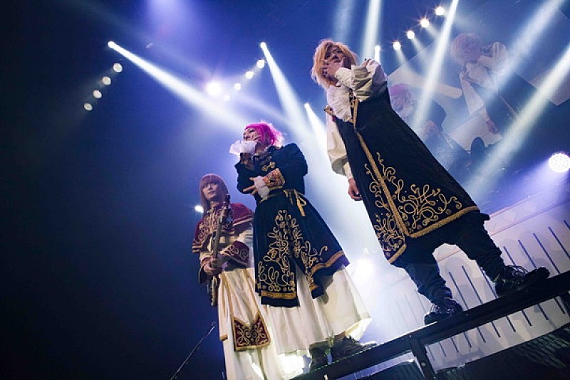 新品☆Raphael【集合】天使の檜舞台☆ポストカード 新品Raphael【集合