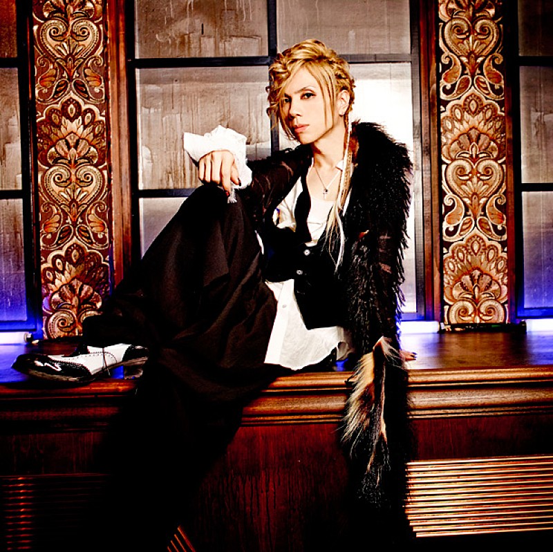 Acid Black Cherry アシッドブラックチェリー 黒猫 ポスター Acid