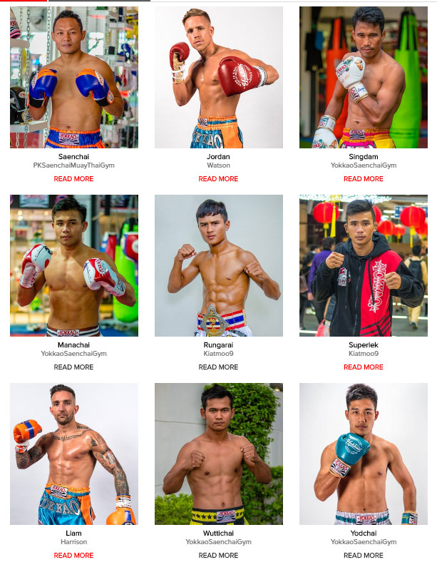 新品】YOKKAO キックミット ピンクと水色