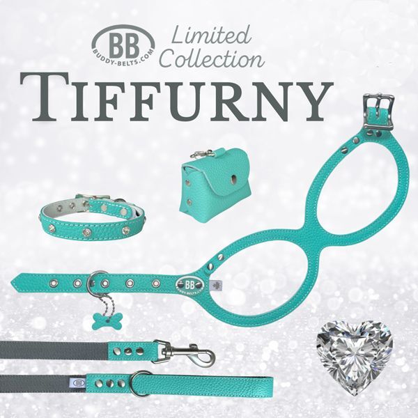 バディーベルト ハーネス 3.5号 ロビンズエッグブルー Robin's Egg