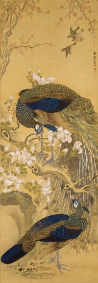 三重県立美術館 コレクション オーディオガイド 増山雪斎 《孔雀図》A